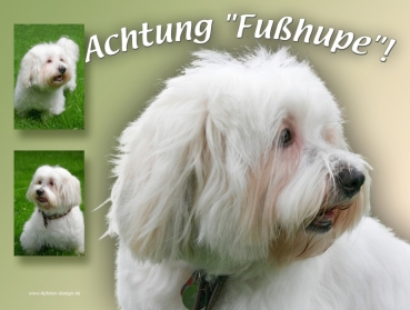 Hundewarnschild Coton de Tulear #2