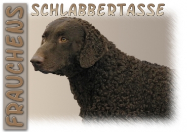 Fototasse Curly-coated Retriever Herrchen/Frauchen