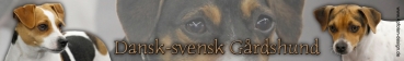 Aufkleber Dänisch-Schwedischer Bauernhund #1