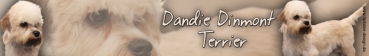 Aufkleber Dandie Dinmont Terrier #1