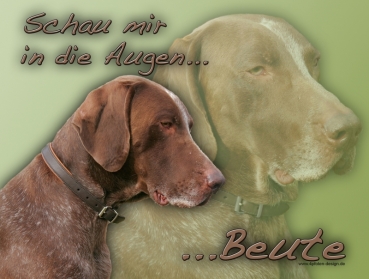 Hundewarnschild Deutsch Kurzhaar #1