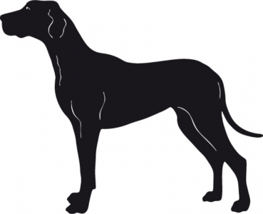 Deutsche Dogge stehend Silhouette