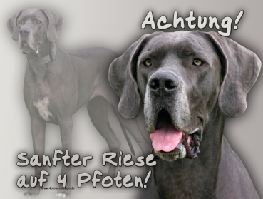 Hundewarnschild Deutsche Dogge #1