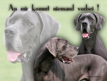 Hundewarnschild Deutsche Dogge #2