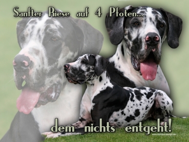 Hundewarnschild Deutsche Dogge #3