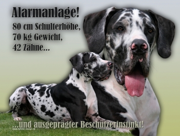 Hundewarnschild Deutsche Dogge #4