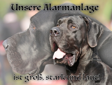 Hundewarnschild Deutsche Dogge #10