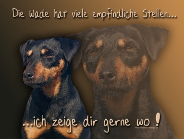 Hundewarnschild Deutscher Jagdterrier #1