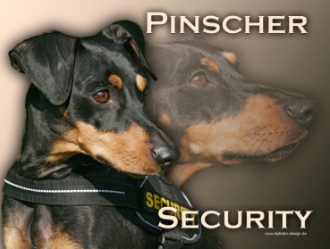 Hundewarnschild Deutscher Pinscher #1