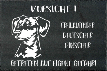 Schieferplatte Deutscher Pinscher