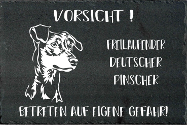 Schieferplatte Deutscher Pinscher