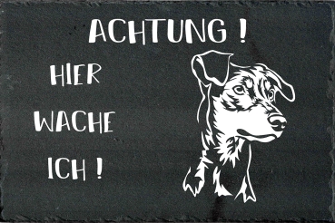 Schieferplatte Deutscher Pinscher