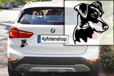 Autoaufkleber "Deutscher Pinscher" Kopf