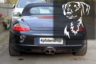 Autoaufkleber "Deutscher Pinscher" Kopf