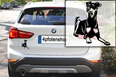 Autoaufkleber "Deutscher Pinscher" Kontur