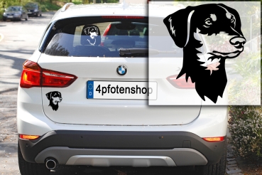 Autoaufkleber "Deutscher Pinscher" Kopf