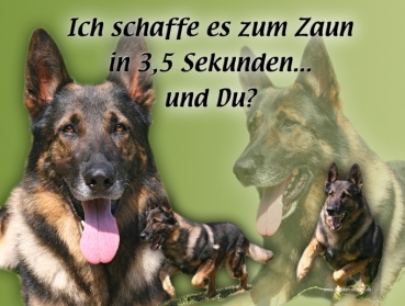 Hundewarnschild Deutscher Schäferhund #3