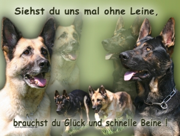 Hundewarnschild Deutscher Schäferhund #4