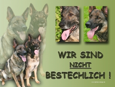 Hundewarnschild Deutscher Schäferhund #6