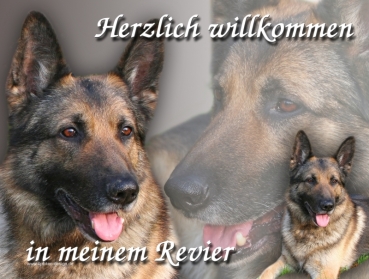 Hundewarnschild Deutscher Schäferhund #7