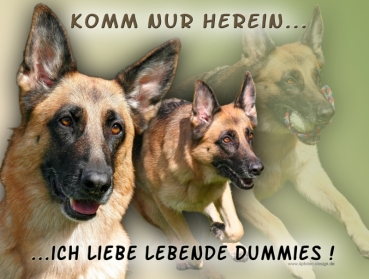 Hundewarnschild Deutscher Schäferhund #10