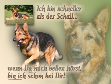 Aluminiumschild Deutscher Schäferhund