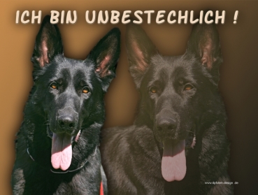 Hundewarnschild Deutscher Schäferhund #14