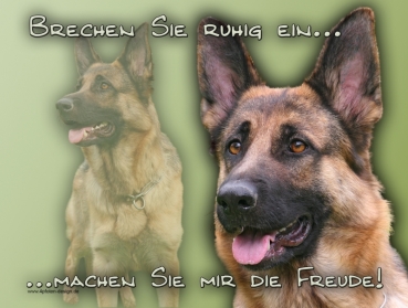 Hundewarnschild Deutscher Schäferhund #15