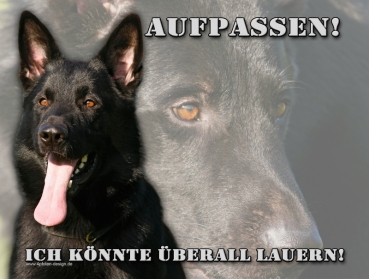 Hundewarnschild Deutscher Schäferhund #19