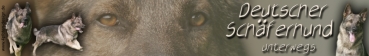 Autoaufkleber Deutscher Schäferhund