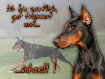 Hundewarnschild Dobermann #2