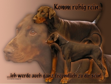 Hundewarnschild Dobermann #3