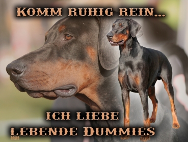 Hundewarnschild Dobermann #4