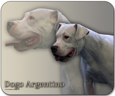 Mousepad Dogo Argentino #1