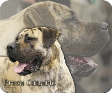 Mousepad Presa Canario