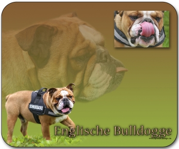 Mousepad Englische Bulldogge #1