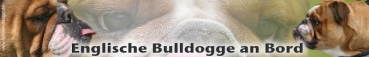 Aufkleber Englische Bulldogge #1