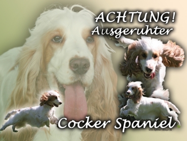 Hundewarnschild Englischer Cocker Spaniel #3