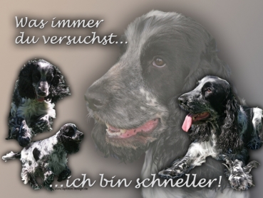 Hundewarnschild Englischer Cocker Spaniel #4