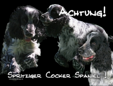 Hundewarnschild Englischer Cocker Spaniel #5