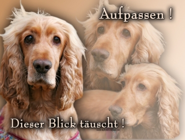 Hundewarnschild Englischer Cocker Spaniel #6