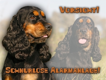 Hundewarnschild Englischer Cocker Spaniel #8