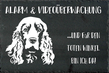 Schieferplatte Englischer Cocker Spaniel