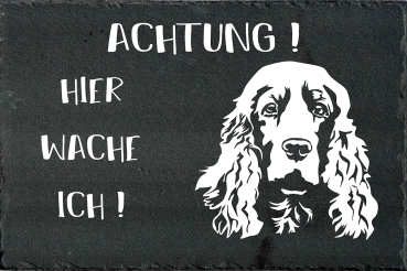 Schieferplatte Englischer Cocker Spaniel