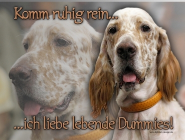 Hundewarnschild Englischer Setter #2