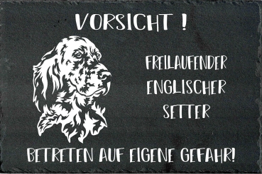 Schieferplatte Englischer Setter