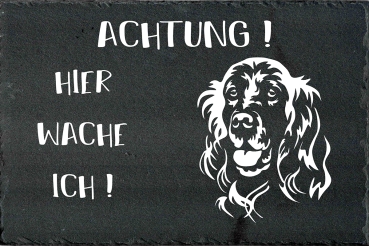 Schieferplatte Englischer Setter