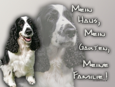 Hundewarnschild Englischer Springer Spaniel #1