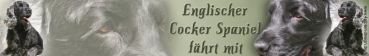 Aufkleber Englischer Cocker Spaniel #1