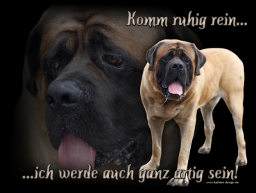 Hundewarnschild English Mastiff #1